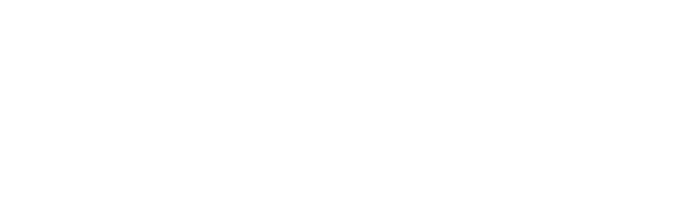 HubSpot Solutions Partner - White